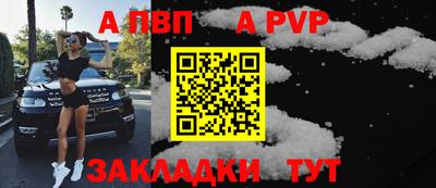 спиды Кингисепп