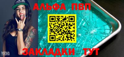 спиды Кингисепп