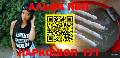 спиды Кингисепп