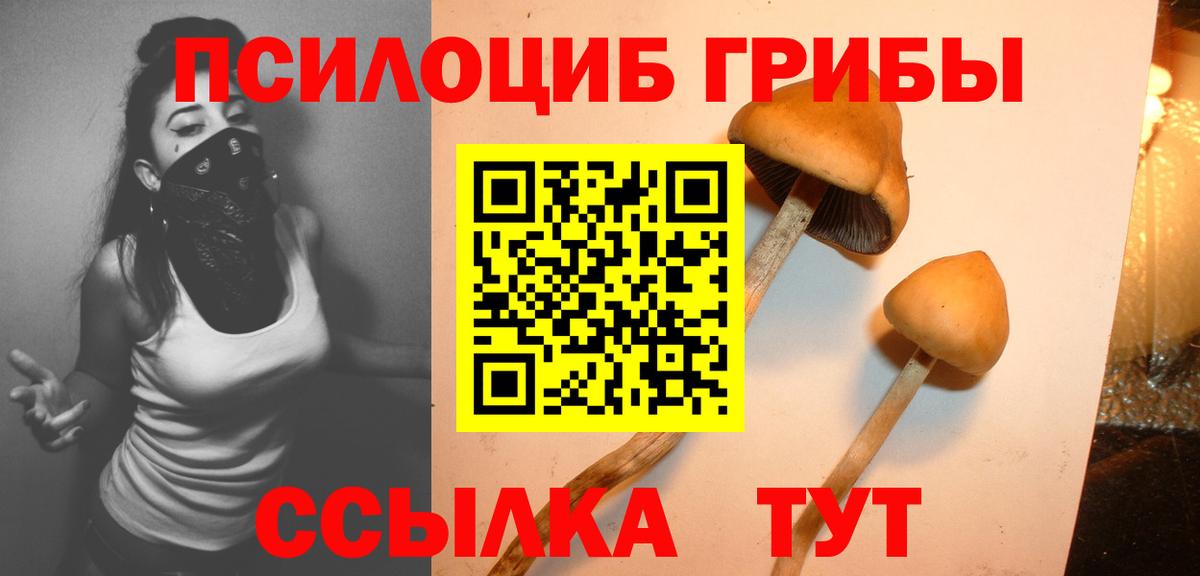 Галлюциногенные грибы Psilocybe Шахты